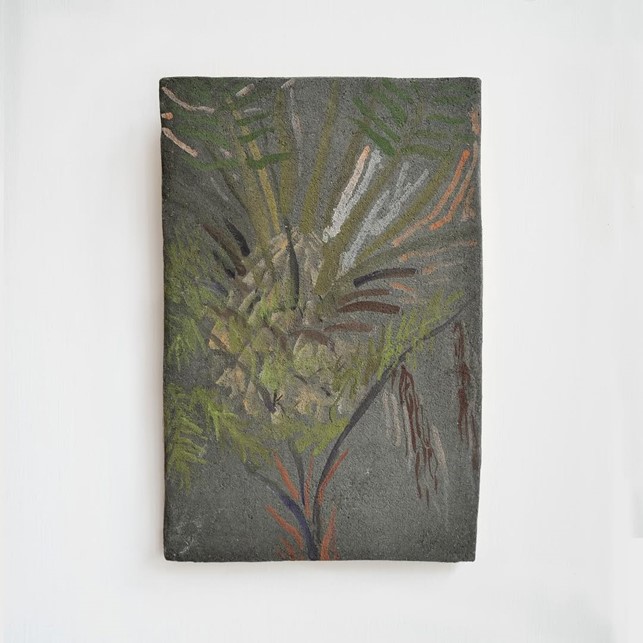 Felce arborea