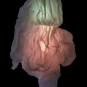 The Skin of Nike
